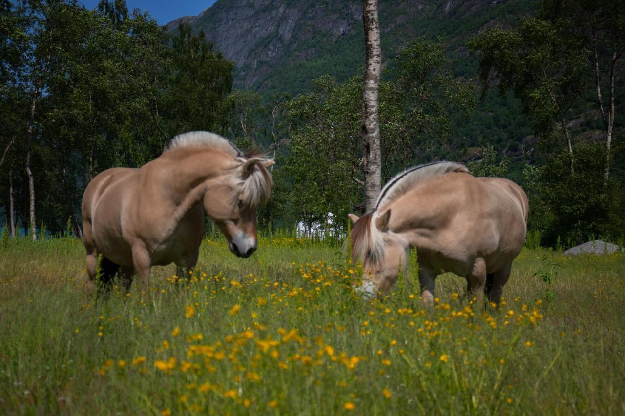 Olden Glamping - One With Nature Stryn Exterior foto